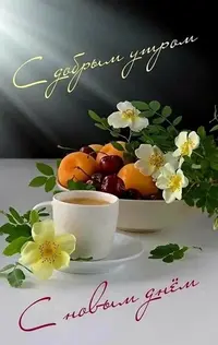 85022_043.webp