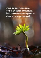 dobrogoutra_ru_7054.jpg