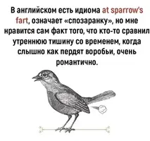 IMG_2148.webp