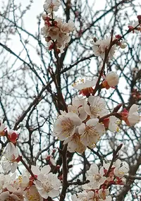 291925.webp