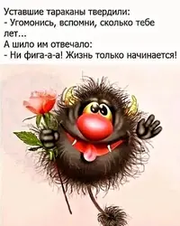432291209_1077723860175349_4673701351076245952_n.webp.webp