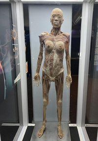 IMG_20240302_171429.webp