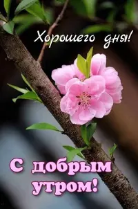 IMG_2505.webp