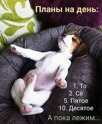yhdRWKUy9gQ.webp