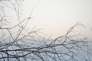 _DSC4592.webp