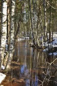 _DSC4633_1.webp