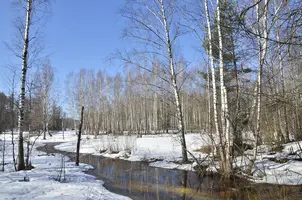 _DSC4625.webp