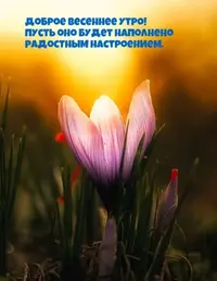 B26C477C-F6BC-4AAC-BC04-96F8D3B1B608.webp