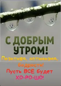 IMG_2509.webp