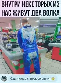 1200-звр.webp