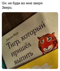 1200-звр-1.webp