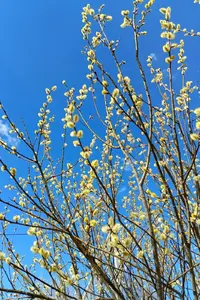 IMG_20240402_201819.webp