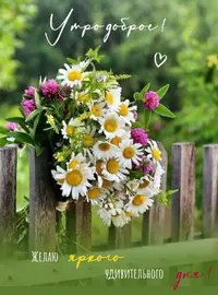6D6B7C39-3743-4056-89B2-77630B07E8F5.webp