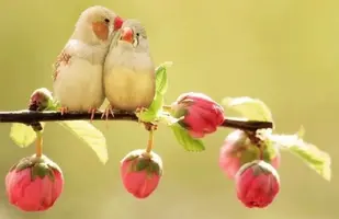 320D7F68-A8A7-4437-AE1E-7A849872027A.webp