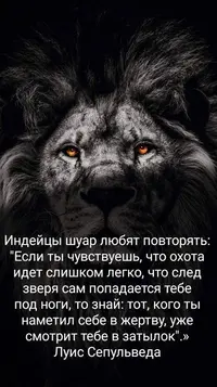 92.webp