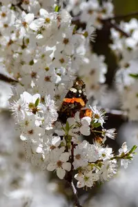 IMG_20240404_160102.webp