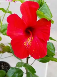 imgonline-com-ua-Resize-yk6n9y40FRl.webp
