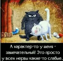 W9Q51QYDt20.webp
