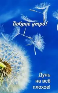 C7F55FDE-2E5B-4679-970D-6397C61B173F.webp