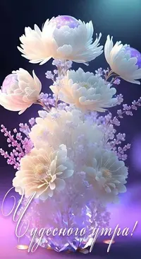 95015_143.webp