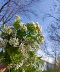 112.webp