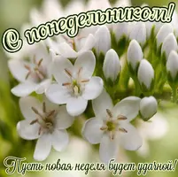 614D2BFC-C266-48D7-B170-D14C084B4127.webp