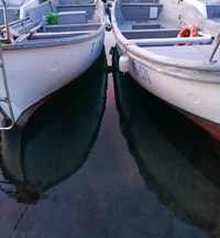 80424.webp