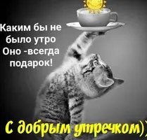 7C11FE83-3509-4485-A54A-0B98AE9E097D.webp