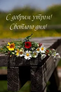IMG_2569.webp