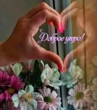 36CB7C64-3F10-488B-9554-D41986BB53D9.webp