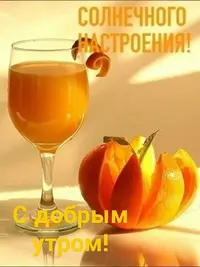 5054_454.webp
