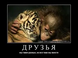 45d49d7068e408e119e8783de6d1af61.webp