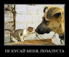 image-4.webp
