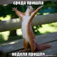 image-2.webp