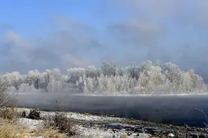 Осень 2.webp
