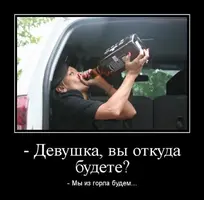 image-1.webp