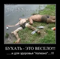 image-8.webp
