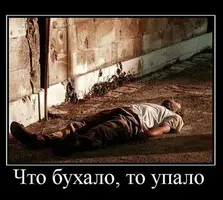image-9.webp