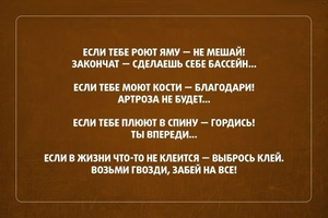 VK_Saved_Photo_ 635949482558505917.webp