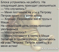 VK_Saved_Photo_ 635977966980189315.webp