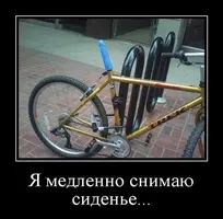 ygaoZmpYGOw.webp