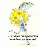 844.webp