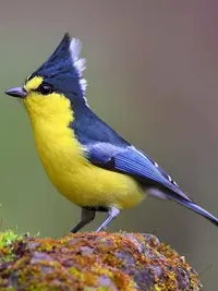 00a2332024853e6085030955ca7fe903.webp