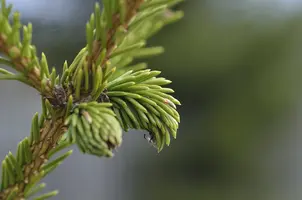 _DSC5120.webp