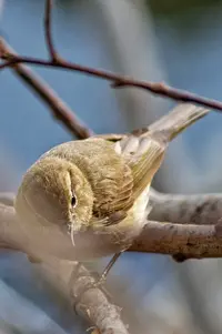 1000326745-01.webp