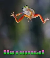 6E1D4A63-361B-4252-B326-BE4507F98974.webp