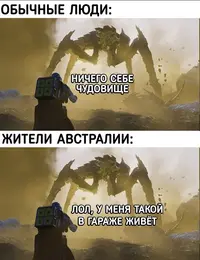 1712523138115079756.webp