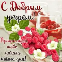 497.webp