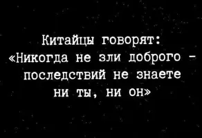 9940.webp