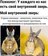 95554147330024.webp
